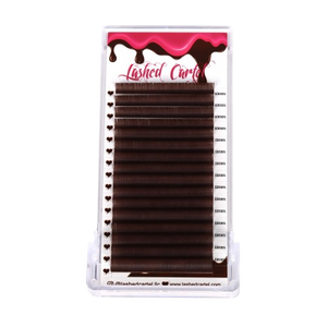 Brown Matte Volume Eyelash Extensions