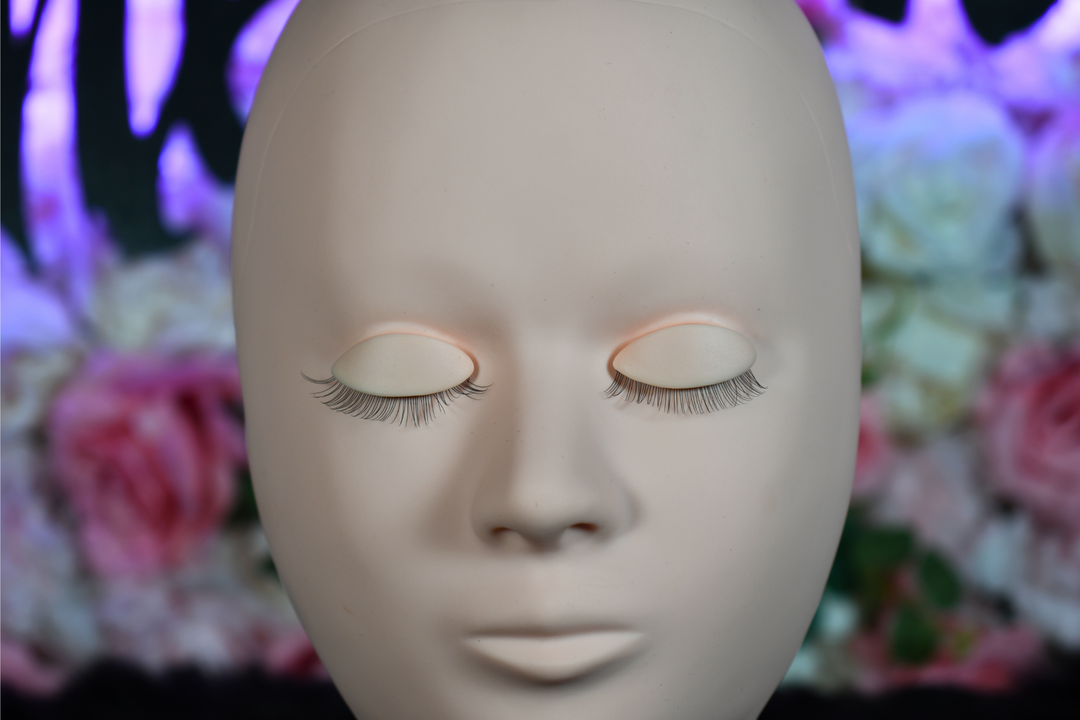 Cabeza de maniquí