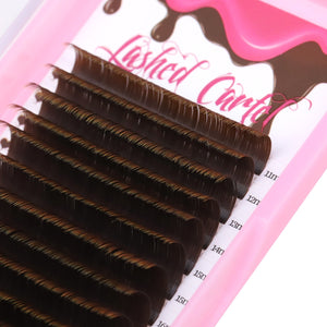 Classic Brown Flat EyeLash